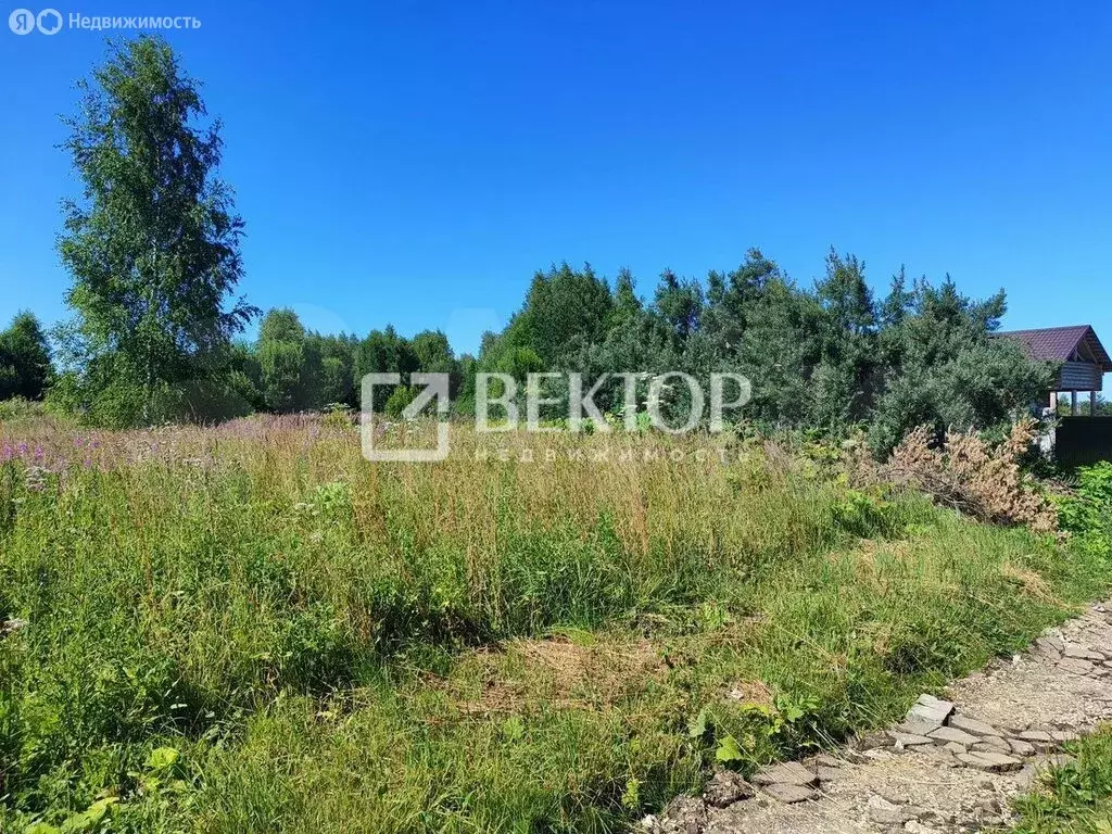 Участок в Ивановский район, Новоталицкое сельское поселение, деревня ... - Фото 2