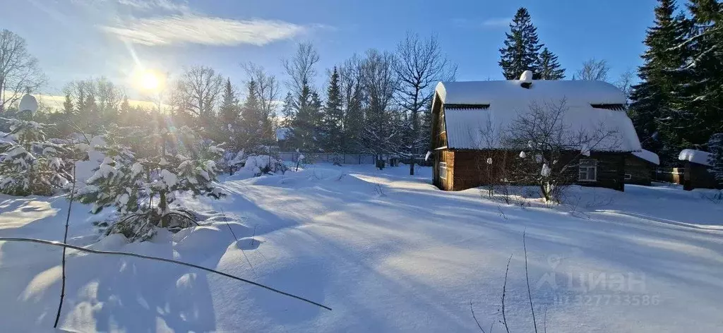 Участок в Московская область, Дмитровский муниципальный округ, ... - Фото 2