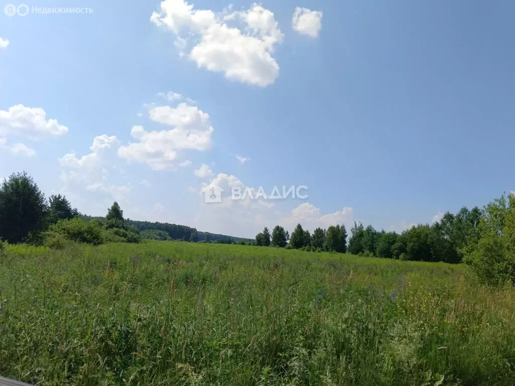 Участок в муниципальное образование Второвское, село Палашкино (100 м) - Фото 1