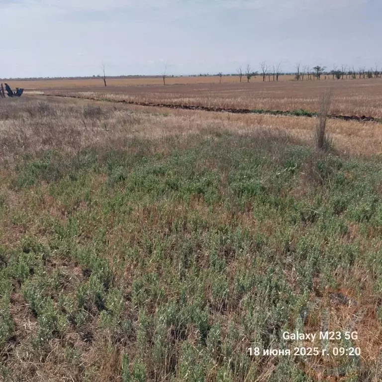 Участок в Крым, Черноморский район, с. Новоивановка  (4.0 сот.) - Фото 1