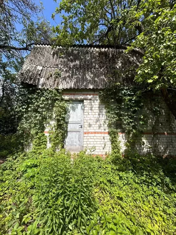 Участок 6 сот. (СНТ, ДНП) - Фото 1