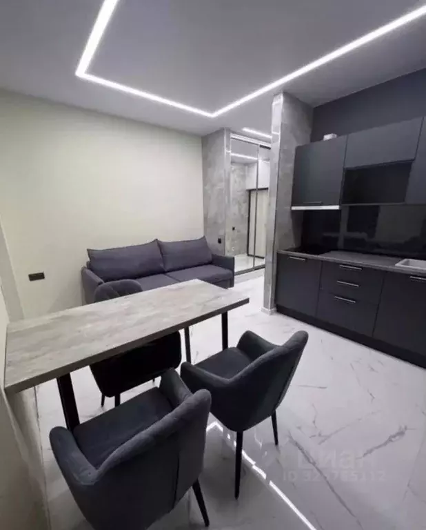 Студия Краснодарский край, Сочи ул. Ленина, 298В/1к1 (26.0 м) - Фото 2