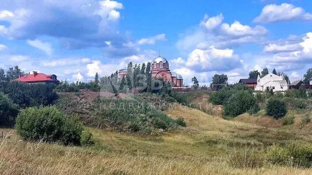 Участок в Воронежская область, Рамонский район, с. Березово ... - Фото 1