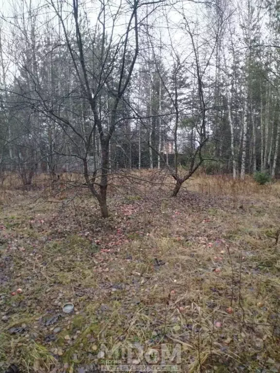 Участок в Ленинградская область, Всеволожский район, Рахьинское ... - Фото 1