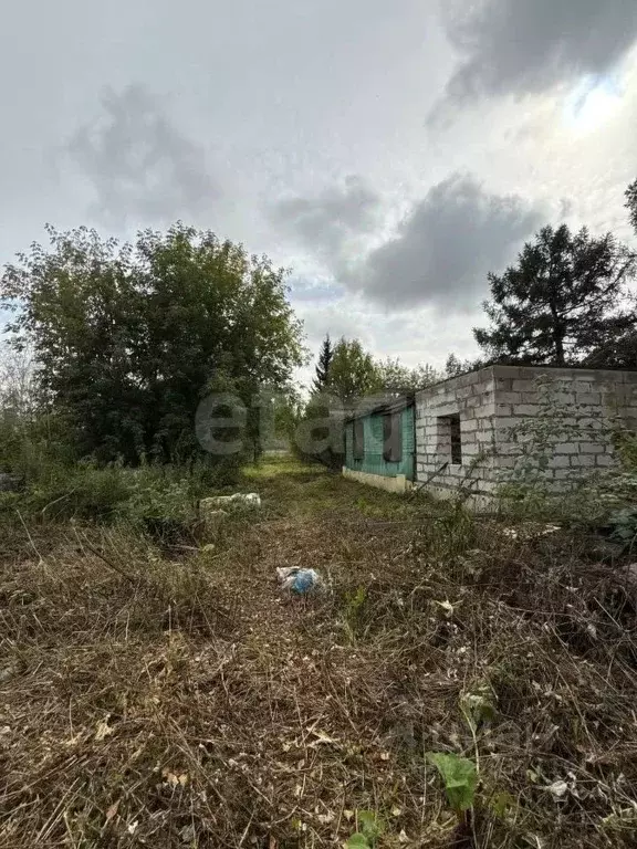 Участок в Новосибирская область, Новосибирский район, Барышевский ... - Фото 2