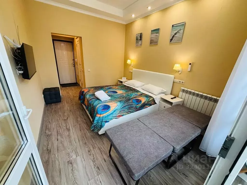 1-к кв. Краснодарский край, Сочи Курортный просп., 75к1 (25.0 м) - Фото 1