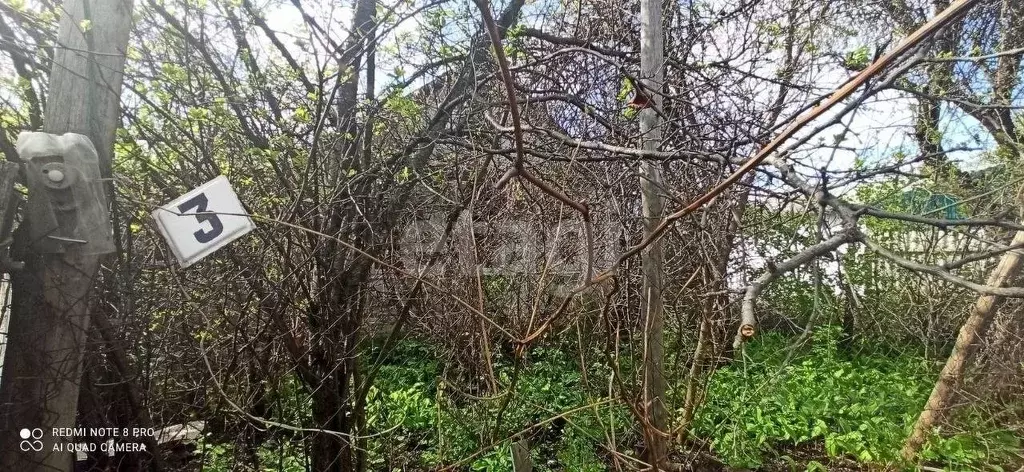 Дом в Белгородская область, Волоконовка рп ул. Дачная (35 м) - Фото 1