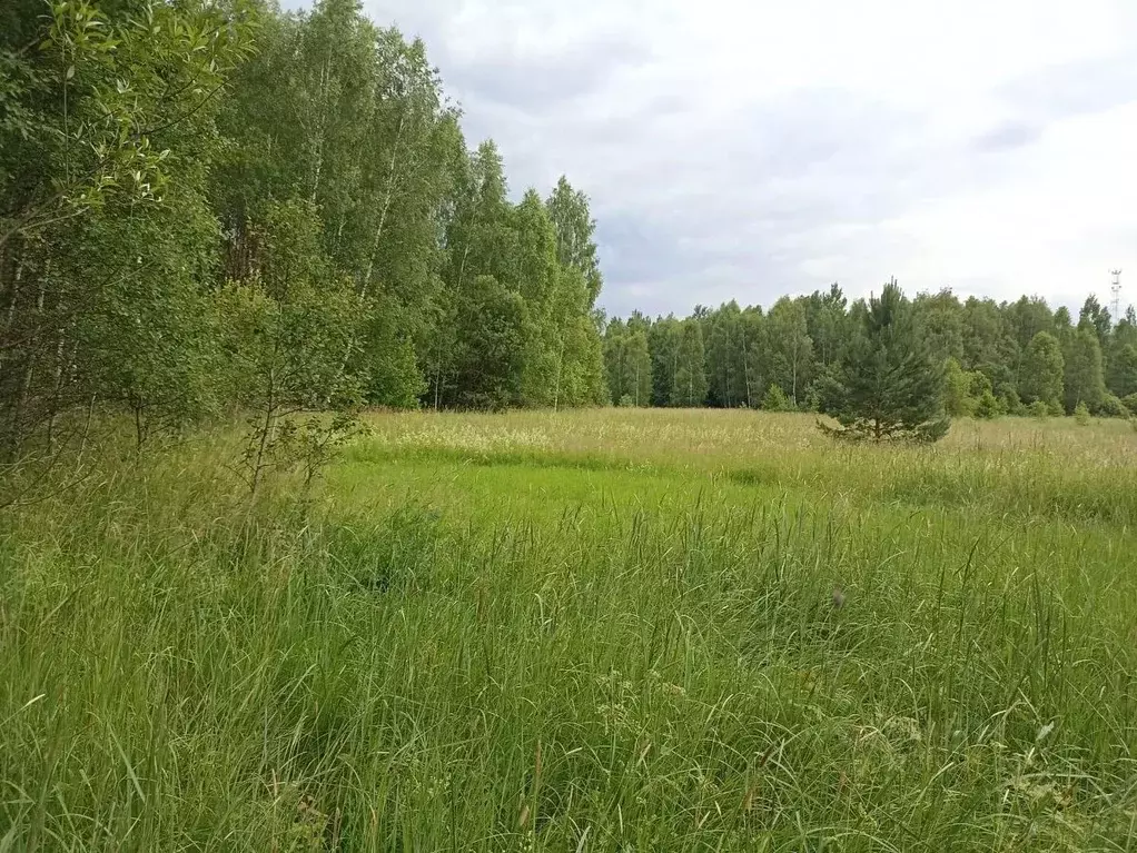 Участок в Московская область, Серпухов городской округ, д. Верхнее ... - Фото 0