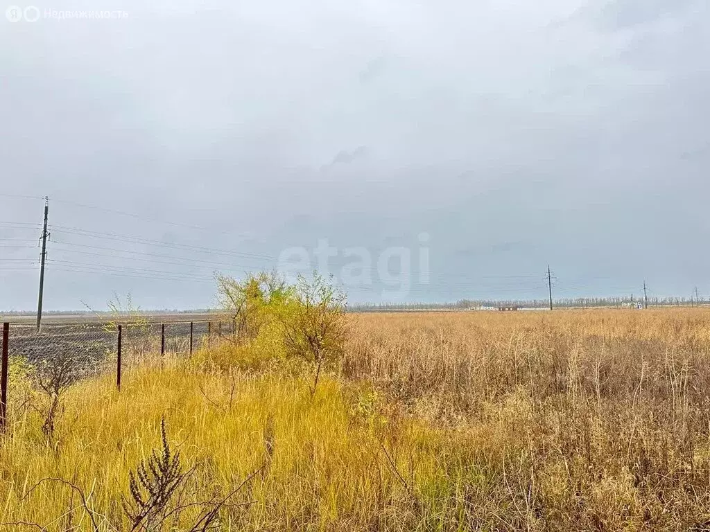 Участок в село Новая Усмань, микрорайон Новая Радуга (5 м) - Фото 1