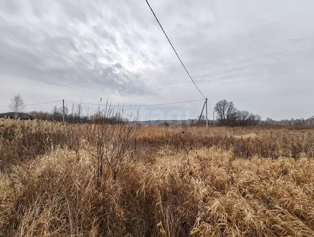 Участок в Тюменская область, Нижнетавдинский муниципальный округ, с. ... - Фото 1