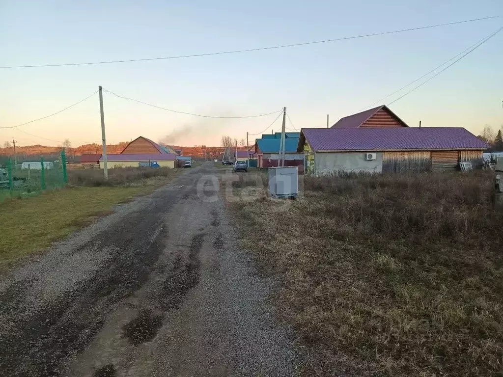 Участок в Алтайский край, Красногорский район, с. Новозыково  (15.0 ... - Фото 1