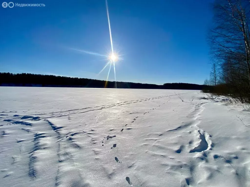 Участок в Гдовский район, Самолвовская волость, деревня Озера (32 м) - Фото 2