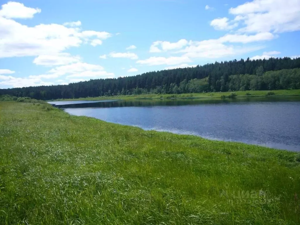 Участок в Вологодская область, Усть-Кубинский муниципальный округ, с. ... - Фото 2
