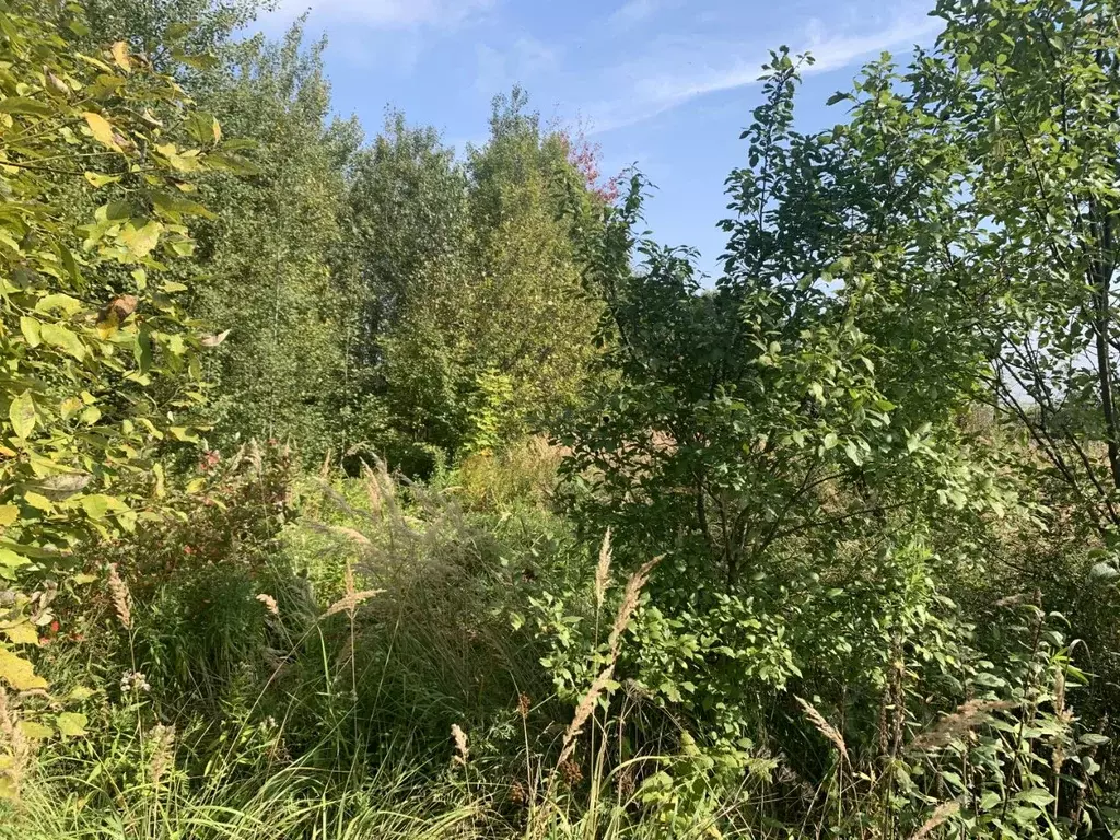 Участок в Московская область, Пушкинский городской округ, д. Цернское  ... - Фото 1