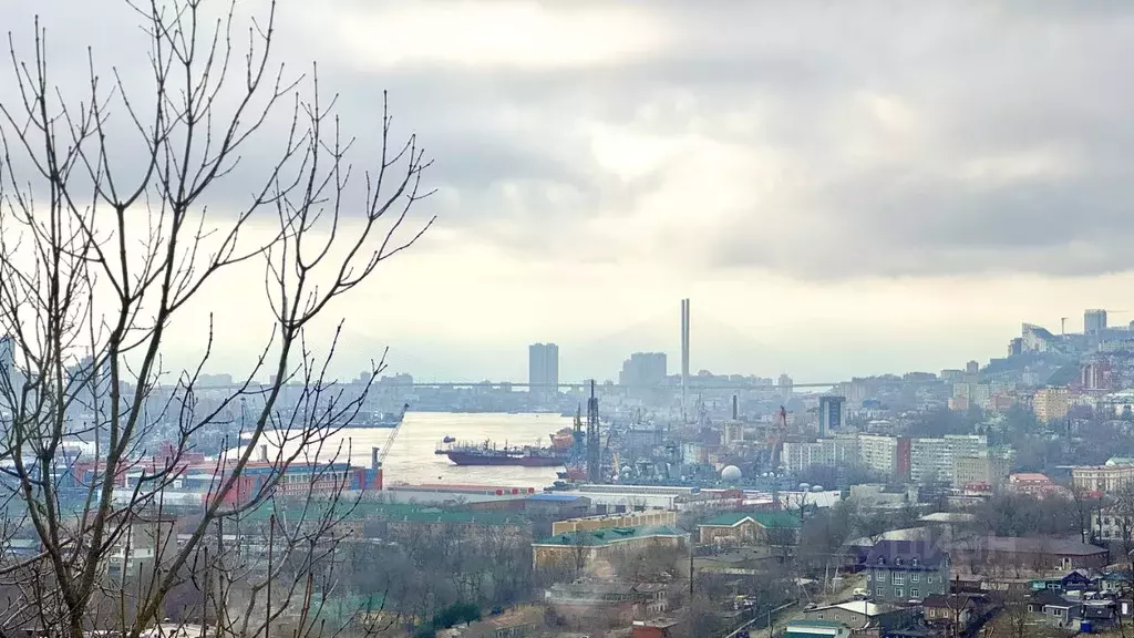 2-к кв. Приморский край, Владивосток 71-й мкр, ул. Ватутина, 10 (50.0 ... - Фото 1