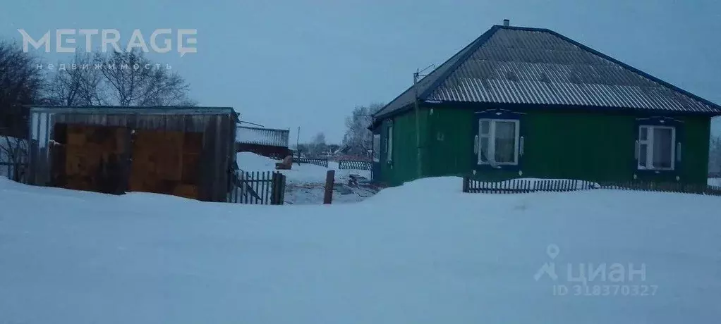Дом в Новосибирская область, Кочковский район, с. Черновка ул. ... - Фото 0