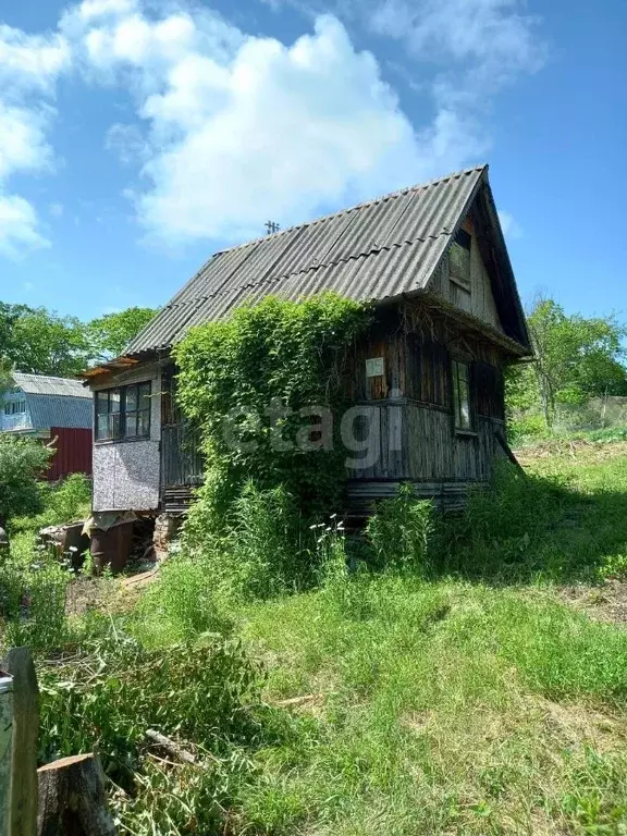 Участок в Приморский край, Надеждинский район, Таежка СНТ  (6.0 сот.) - Фото 1