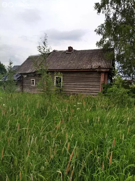 Участок в Усадищенское сельское поселение, деревня Куколь (16.24 м) - Фото 0