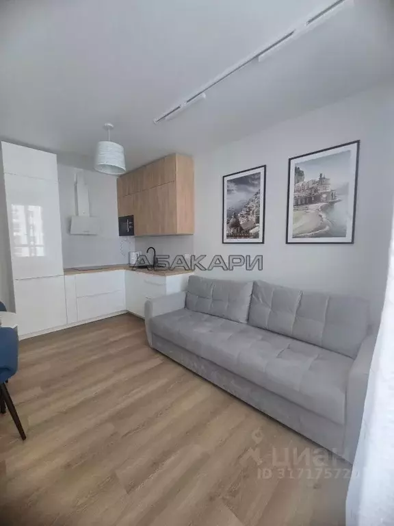 2-к кв. Красноярский край, Красноярск ул. Лесников, 43Б (34.0 м) - Фото 1