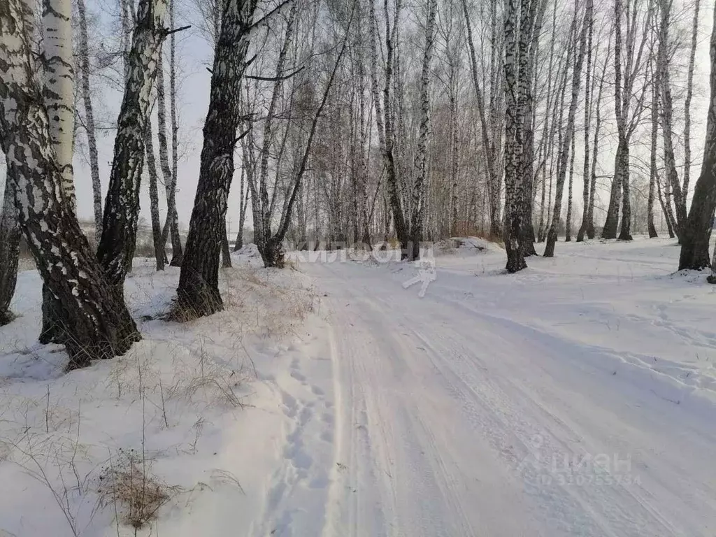 Участок в Новосибирская область, Бердск ул. Кирпичный Завод (10.17 ... - Фото 0