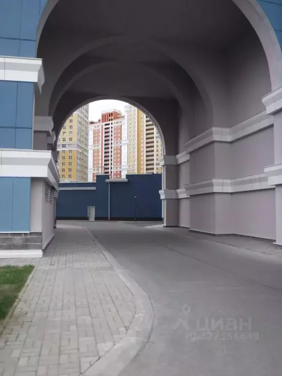 Студия Санкт-Петербург просп. Просвещения, 43 (29.4 м) - Фото 1