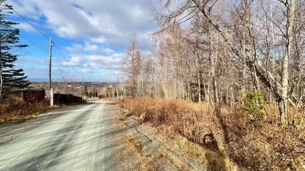 Участок в Сахалинская область, Южно-Сахалинск Изыскатель СНТ, ул. ... - Фото 1
