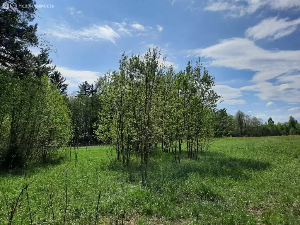 Участок в Заклинское сельское поселение, деревня Заполье (Каменская ... - Фото 1