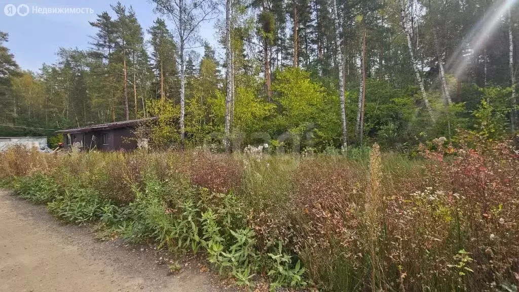 Участок в Домодедово, КП Бор-2 (6 м) - Фото 2