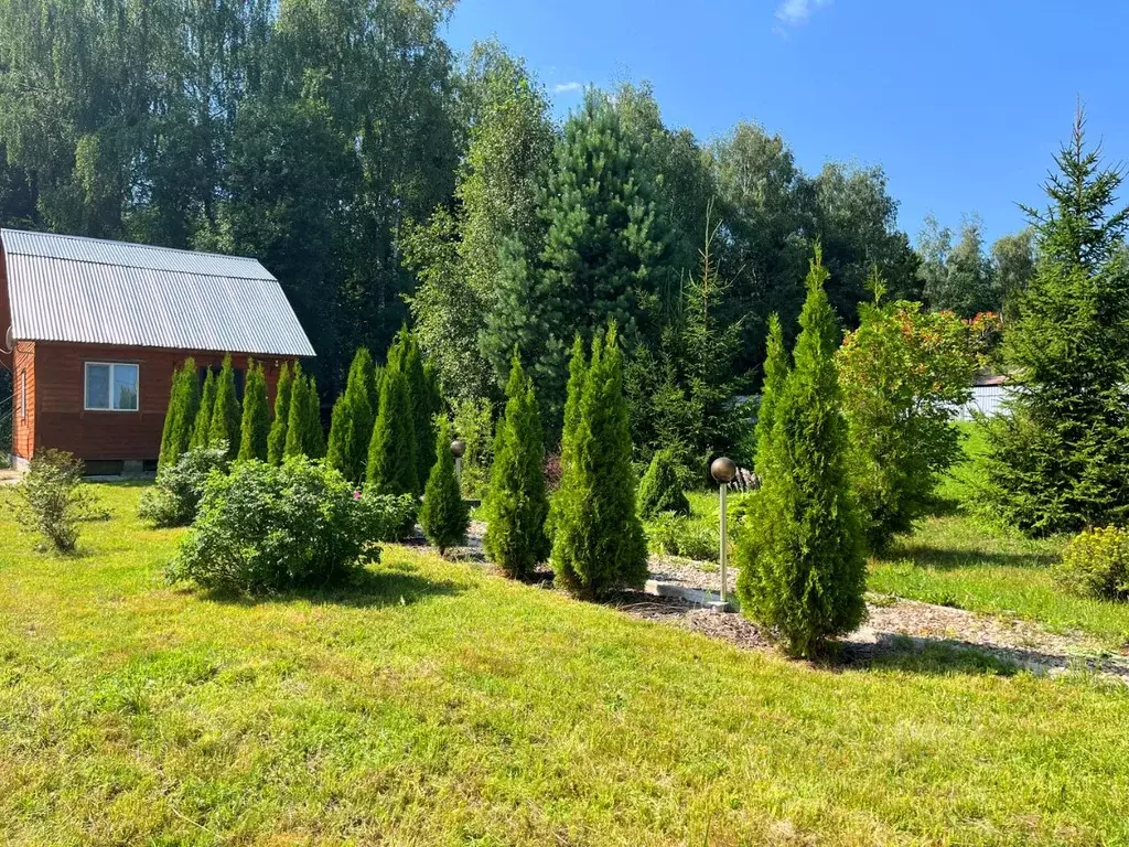Участок в Владимирская область, Александровский муниципальный округ, ... - Фото 1