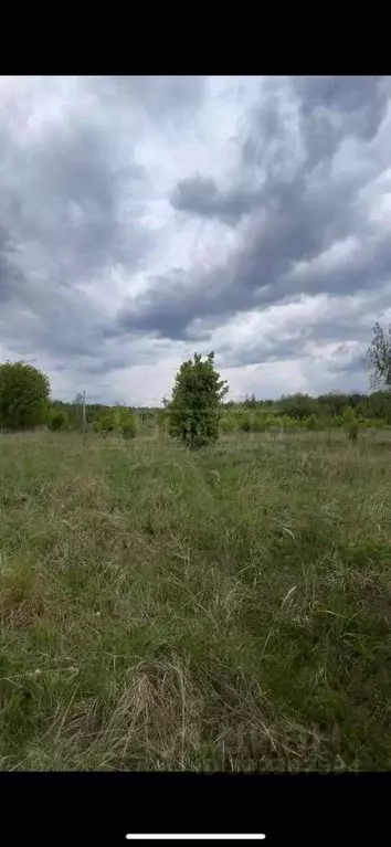 Участок в Воронежская область, Рамонский район, Айдаровское с/пос, ... - Фото 0