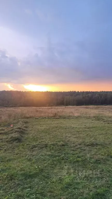 Участок в Владимирская область, Александровский муниципальный округ, ... - Фото 0
