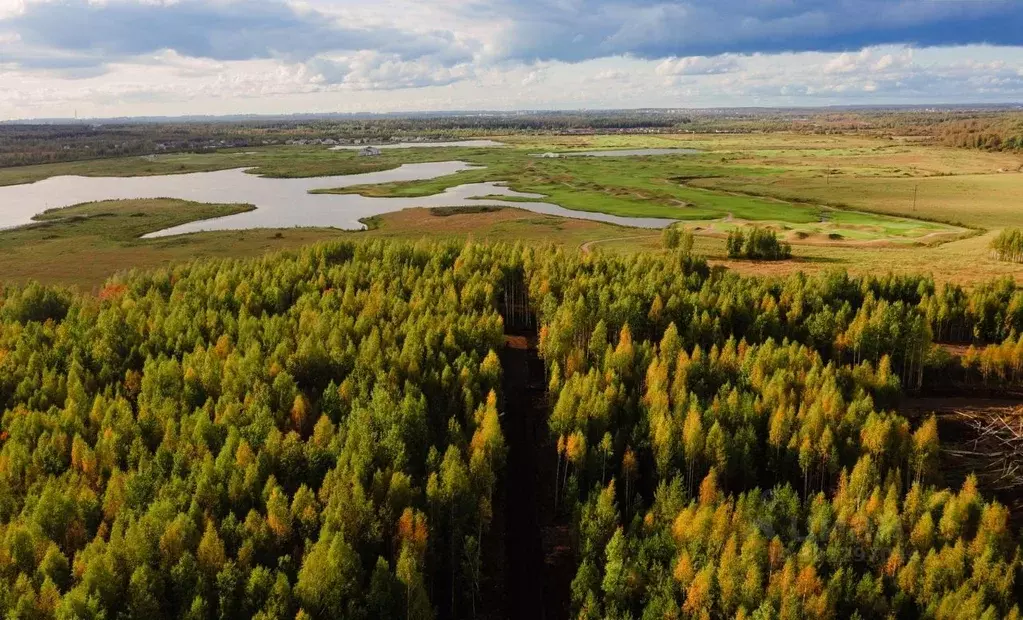 Участок в Ленинградская область, Всеволожское городское поселение, ... - Фото 1