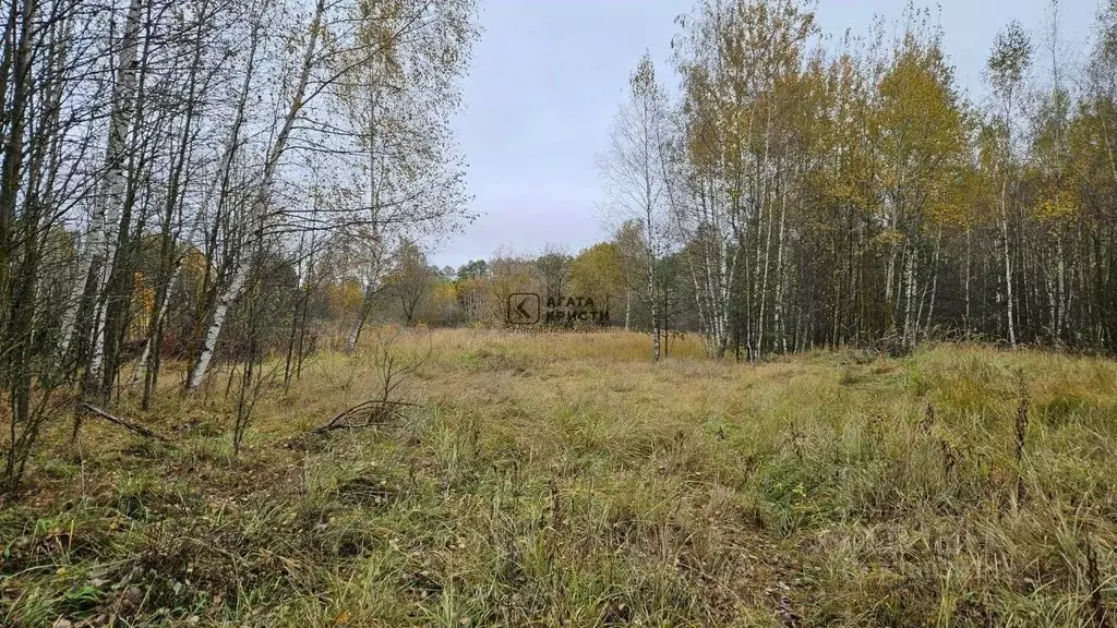 Участок в Московская область, Павлово-Посадский городской округ, с. ... - Фото 1