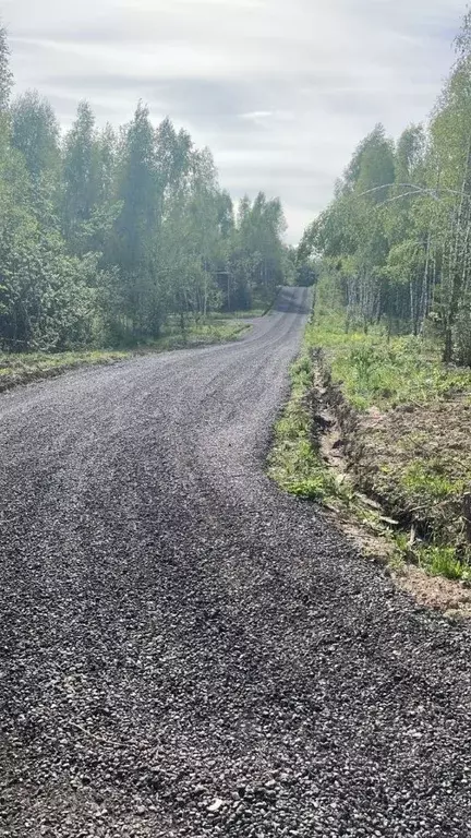 Участок в Московская область, Дмитровский муниципальный округ, ... - Фото 1