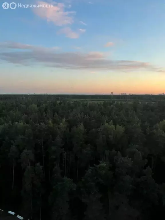 2-комнатная квартира: деревня Островцы, Подмосковная улица, 29 (64 м) - Фото 2