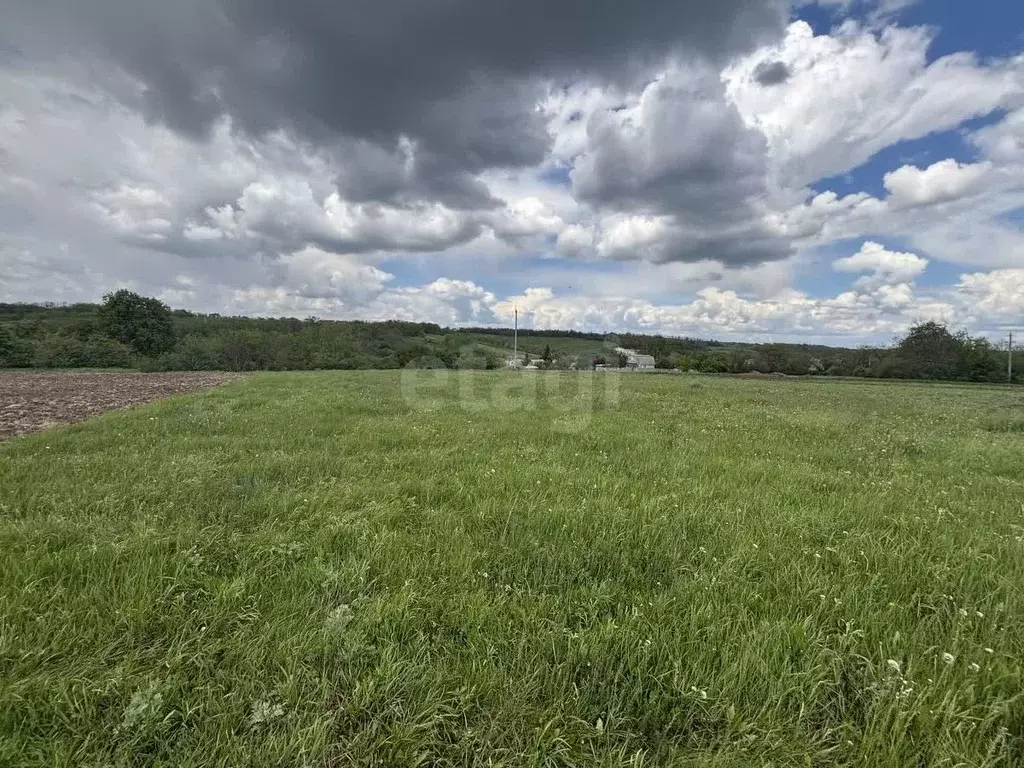 Участок в Белгородская область, Белгородский район, Крутологское ... - Фото 0