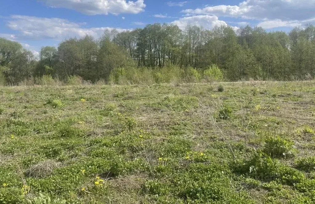 Участок в Московская область, Бронницы  (6.0 сот.) - Фото 0