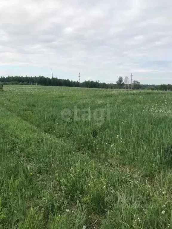 Участок в Кемеровская область, Новокузнецкий муниципальный округ, пос. ... - Фото 1