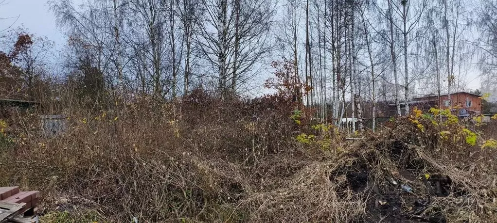 Участок в Московская область, Шатура  (5.0 сот.) - Фото 1