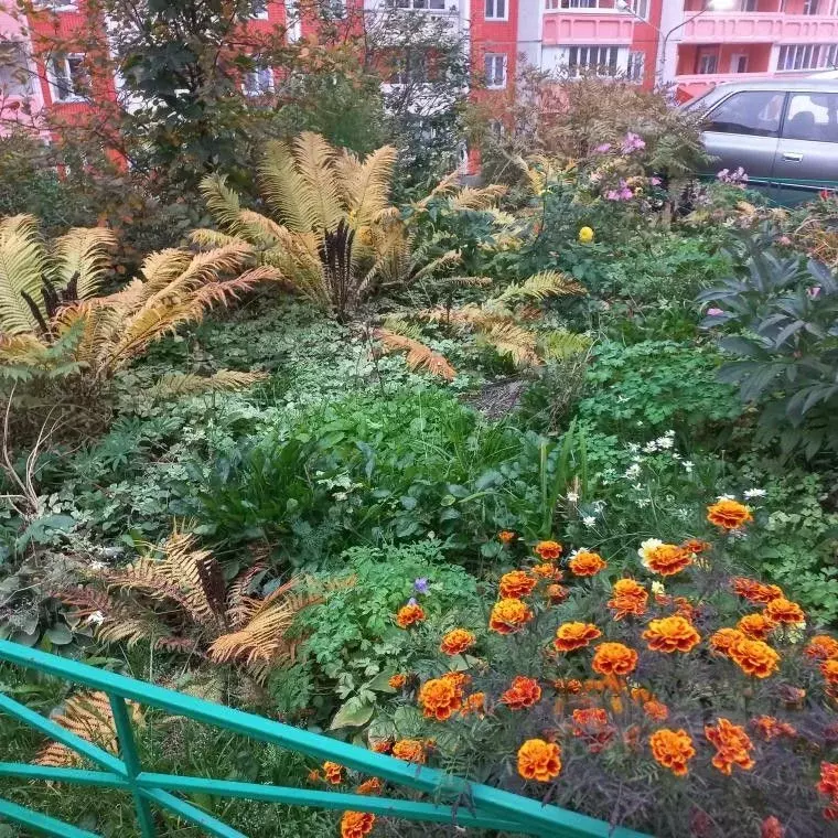 2-к кв. Красноярский край, Красноярск просп. 60 лет Образования СССР, ... - Фото 2