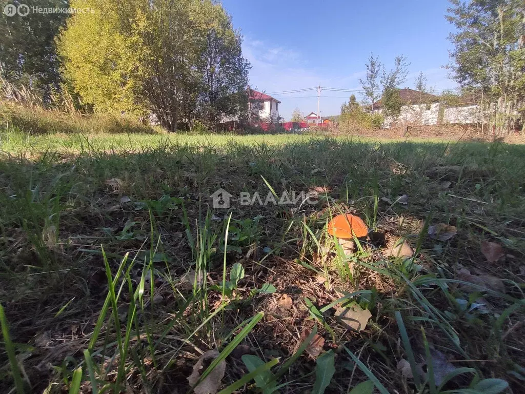 Участок в Владимир, Аграрная улица (7.5 м) - Фото 0