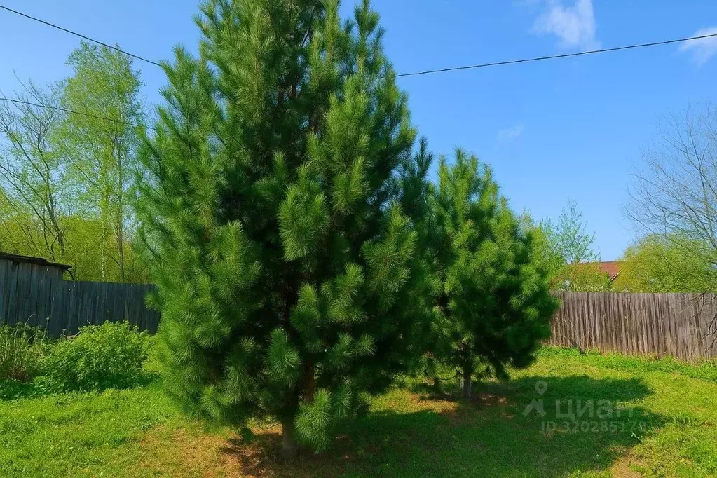 Дом в Кировская область, Юрья пгт ул. Лермонтова, 7 (98 м) - Фото 1