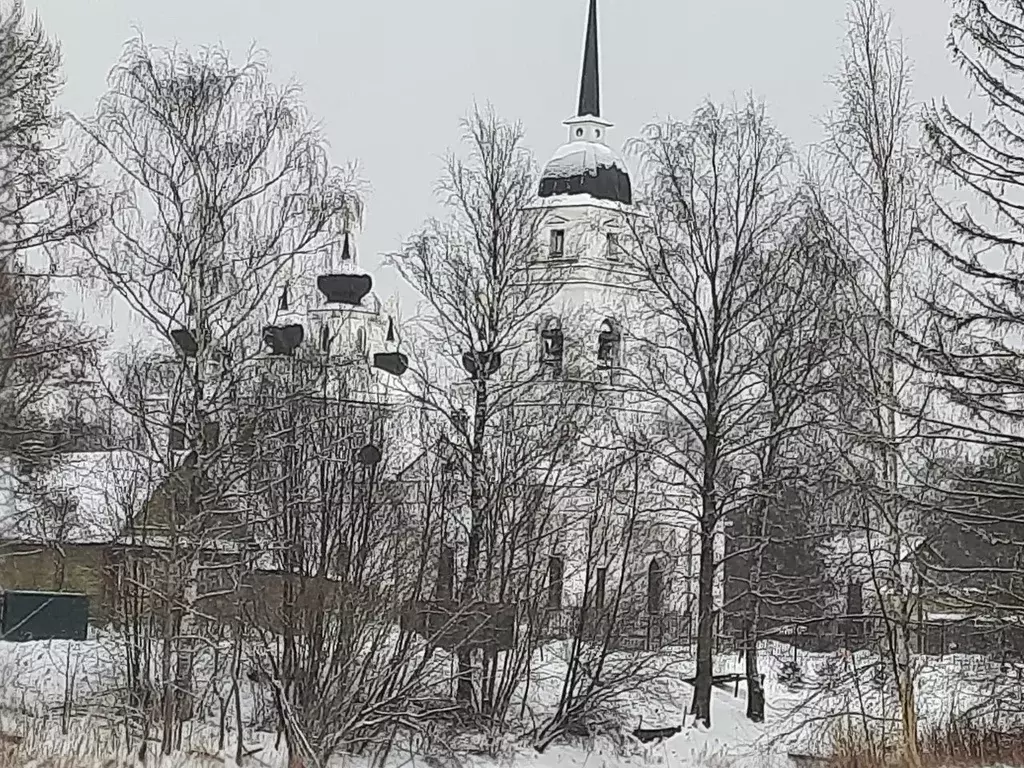 Участок в Ленинградская область, Кировский район, Суховское с/пос, д. ... - Фото 2