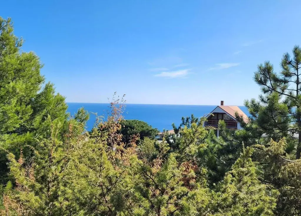 Участок в Крым, Алупка ш. Севастопольское, 65 (8.7 сот.) - Фото 1