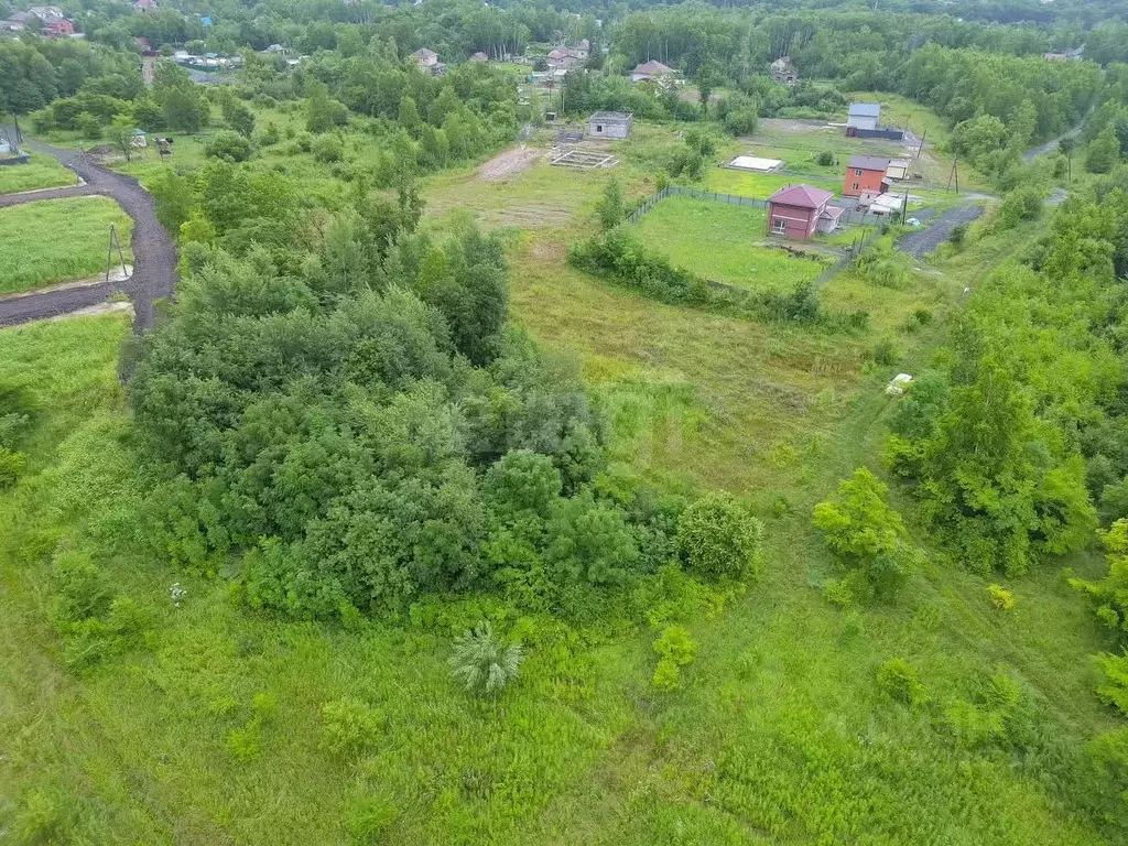Участок в Хабаровский край, Хабаровский район, с. Сосновка Лесная ул., ... - Фото 2