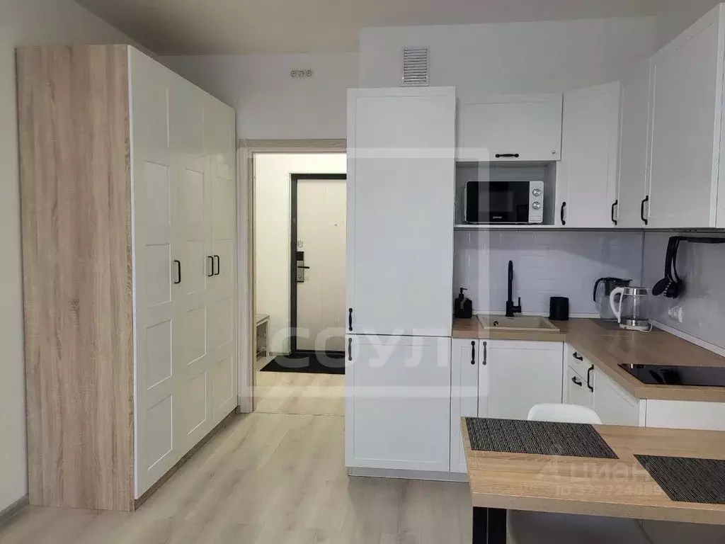 Студия Санкт-Петербург Железнодорожный просп., 14к3 (24.0 м) - Фото 2