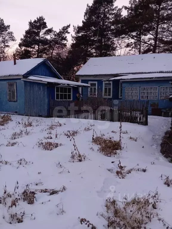Дом в Амурская область, с. Ивановка пер. Набережный, 1 (52 м) - Фото 1