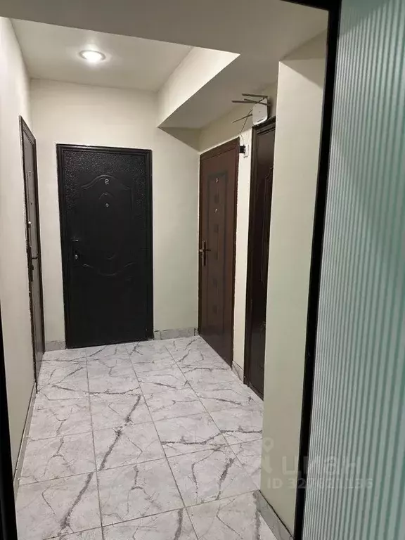 Студия Санкт-Петербург Бумажная ул., 22К4 (17.0 м) - Фото 1