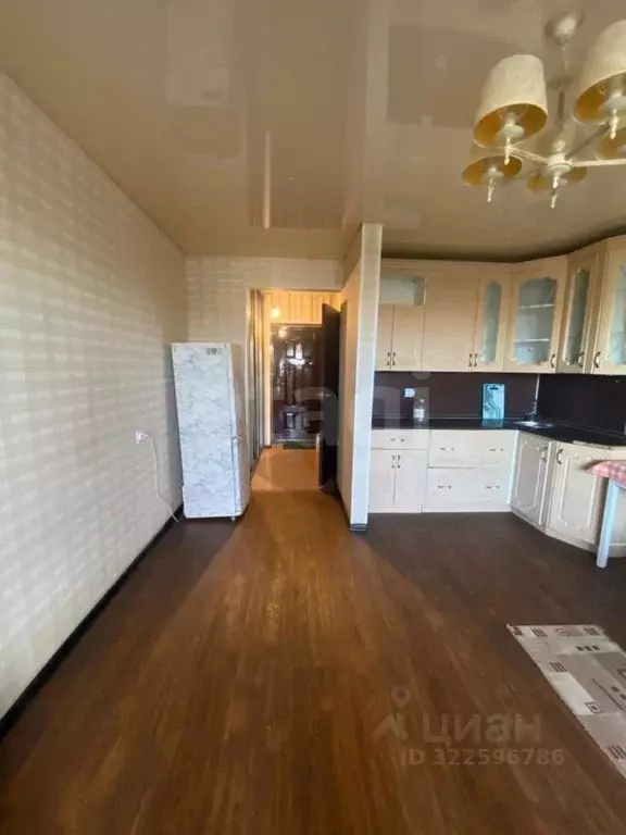 1-к кв. Амурская область, Благовещенск ул. 50 лет Октября, 106/1 (28.0 ... - Фото 2