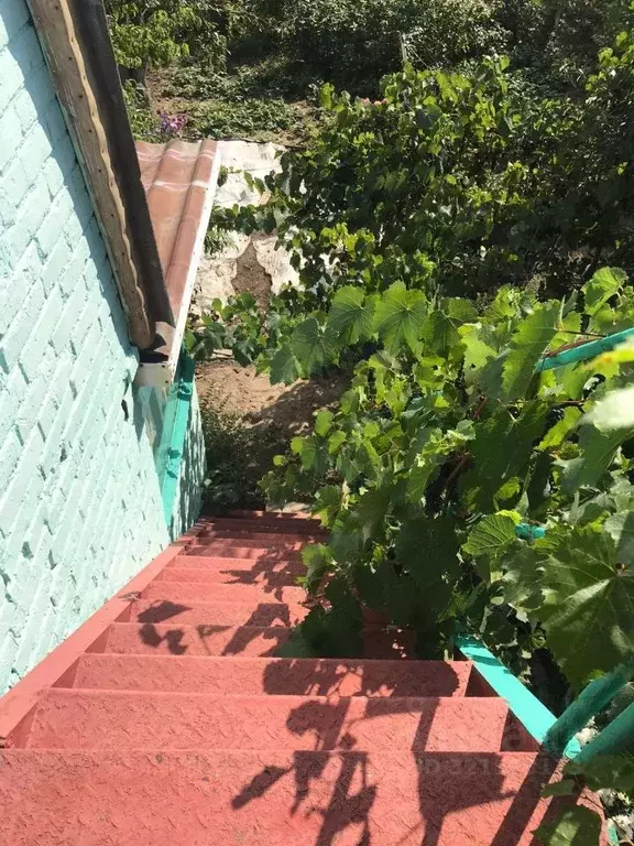 Дом в Белгородская область, Белгородский район, Беломестненское с/пос, ... - Фото 2